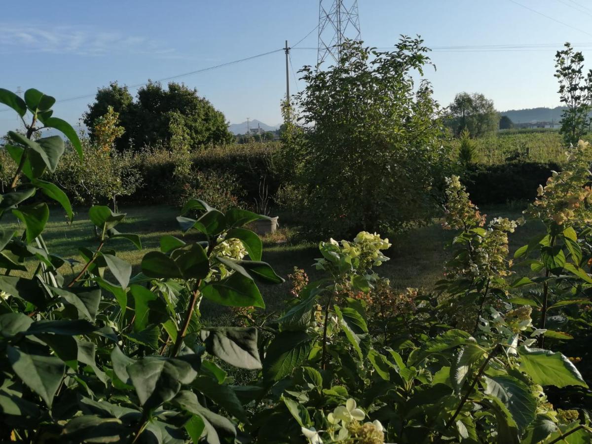 Ca' Blanca Bed and Breakfast Castelnuovo del Garda Exteriör bild