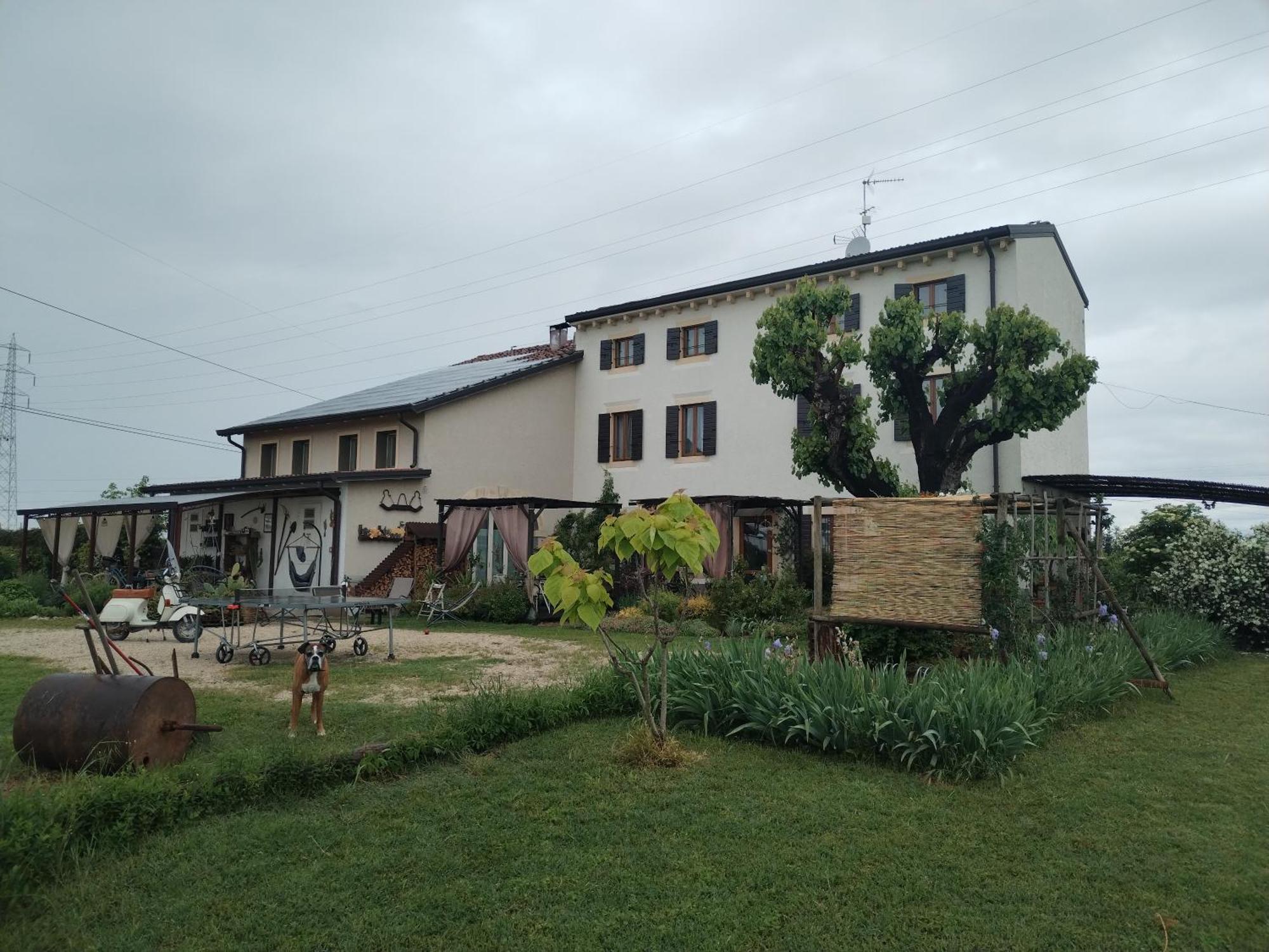Ca' Blanca Bed and Breakfast Castelnuovo del Garda Exteriör bild