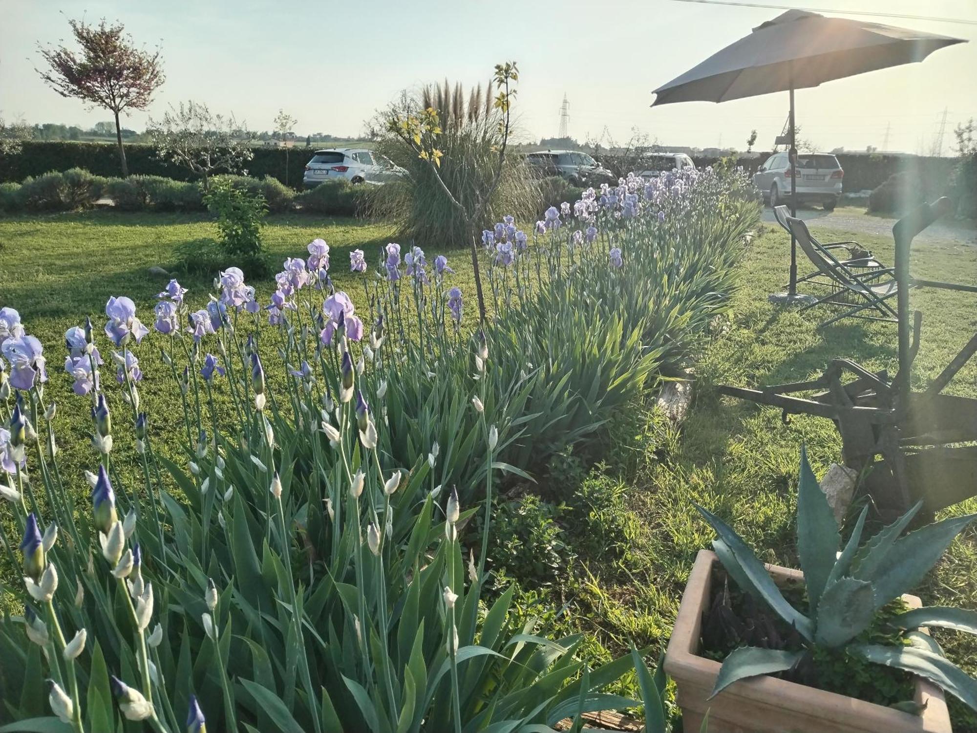 Ca' Blanca Bed and Breakfast Castelnuovo del Garda Exteriör bild